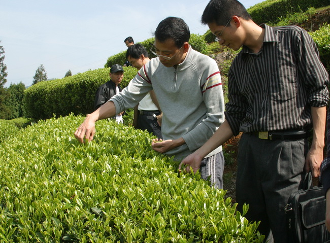 超大 超大現(xiàn)代農業(yè) 超大現(xiàn)代農業(yè)集團