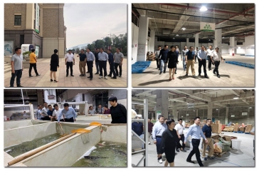 閩侯縣王建生縣長調(diào)研超大全求吃配送中心